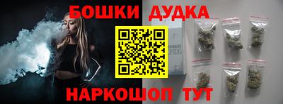 индика Лесосибирск