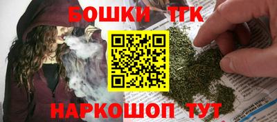 индика Лесосибирск