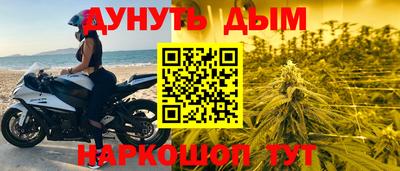 индика Лесосибирск