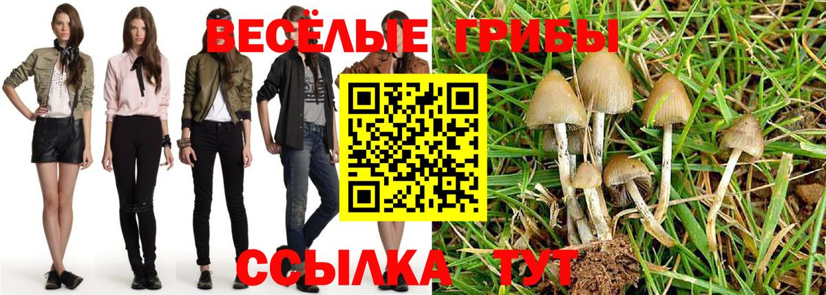 Псилоцибиновые грибы мицелий  Вход с VPN  Долгопрудный 